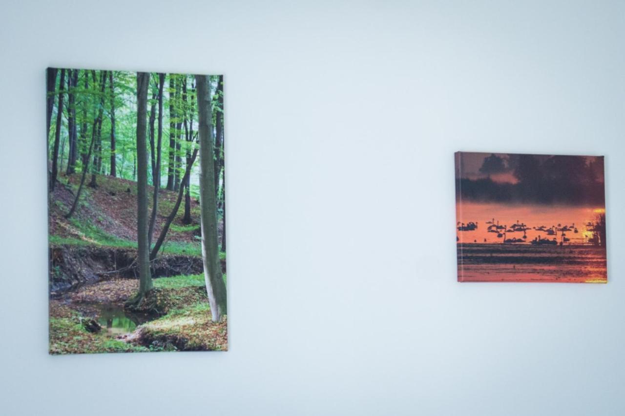Willa Boconek - Zator Przeciszow Exteriér fotografie